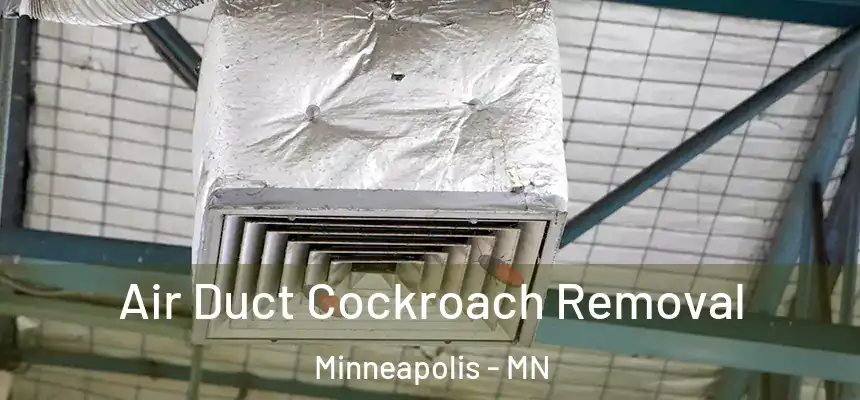 Air Duct Cockroach Removal Minneapolis - MN