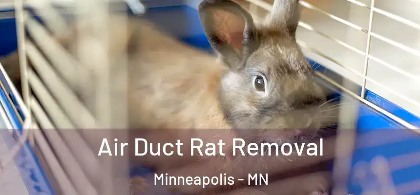  Air Duct Rat Removal Minneapolis - MN