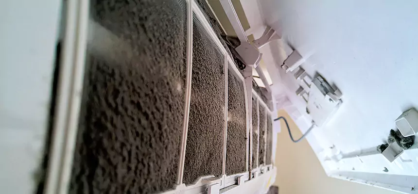 Preventive Air Duct Bacteria Removal in Minneapolis