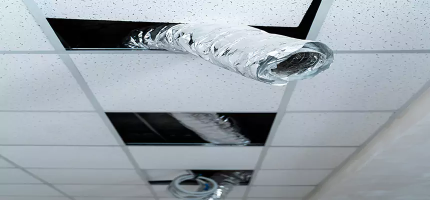 Affordable HVAC Sanitizing After Pest Removal in Minneapolis