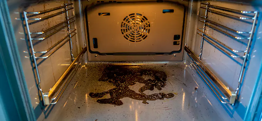 Our Dryer Vent Mold Cleaning Services in Minneapolis, MN