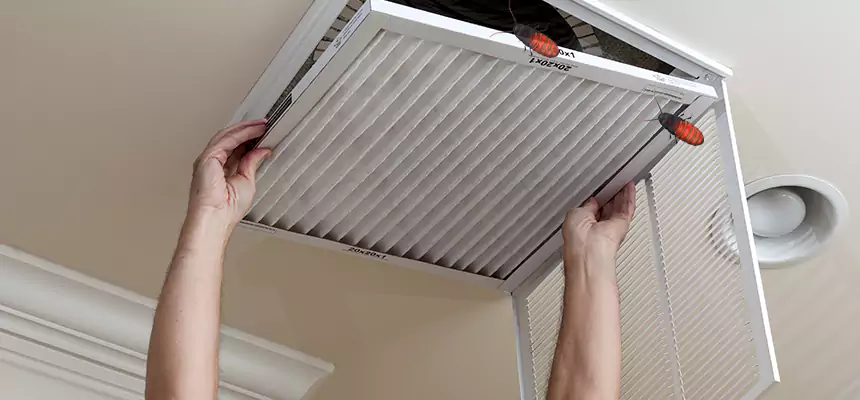Our Insect Removal from Air Ducts Services in Minneapolis, MN