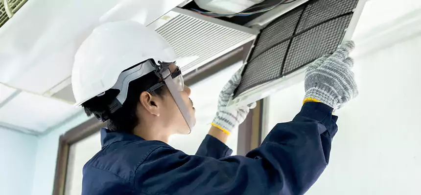 Our Mold & Mildew Removal from Air Ducts Services in Minneapolis, MN