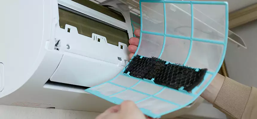 Gentle Ductwork Odor-Control Pet Dander Duct Cleaning in Minneapolis, MN