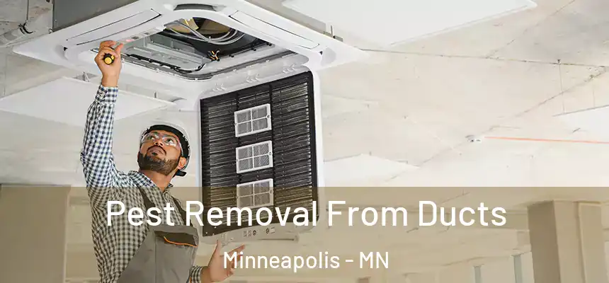  Pest Removal From Ducts Minneapolis - MN