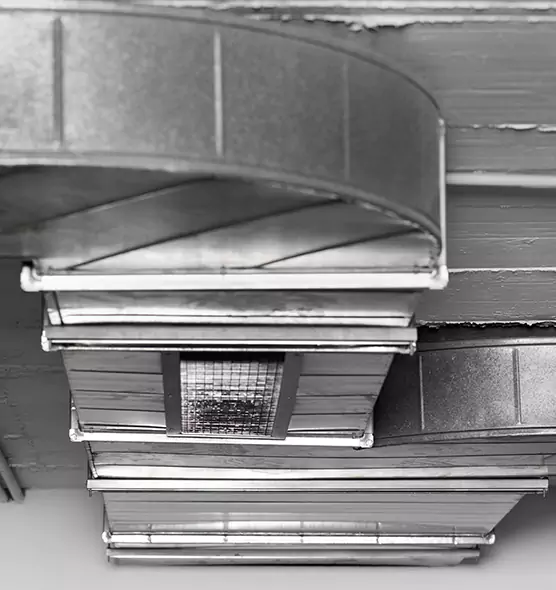 Professional Air Duct Pet Hair Removal in Minneapolis, MN