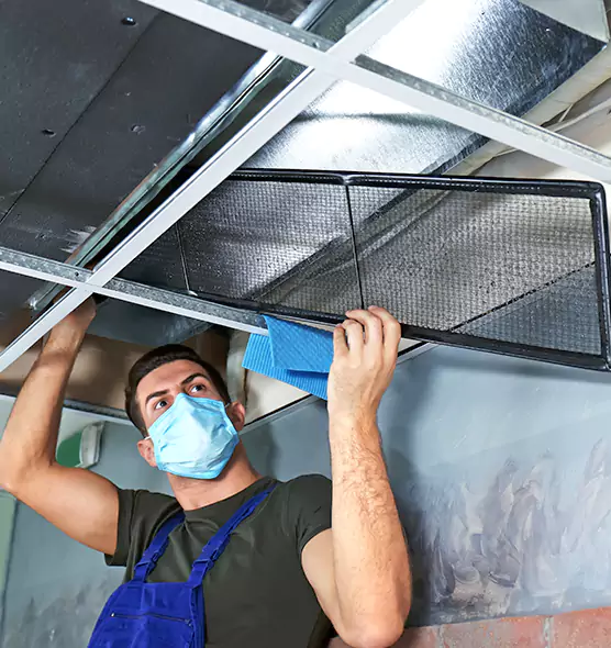 Professional Air Duct Pollen Cleaning in Minneapolis, MN