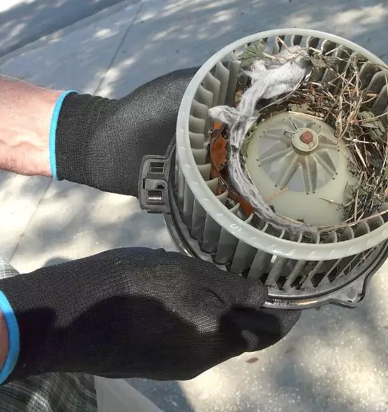 About Air Duct Rat Removal in Minneapolis, MN