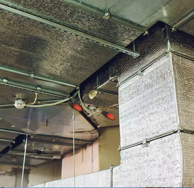 Why Homeowners & Businesses Trust Us in Minneapolis, MN?