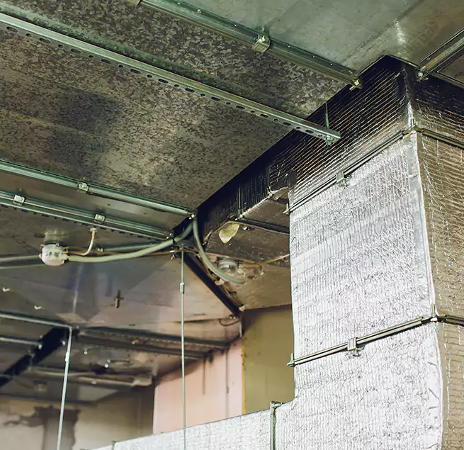 Why Homeowners & Businesses Trust Us in Minneapolis, MN?